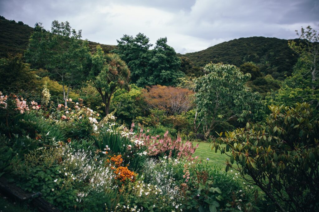 Dunedins hidden forest retreat is utterly divine