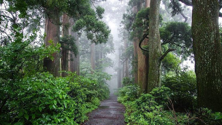 Best The First Trip to Japan Guide Hakone Boulevard in Hakone